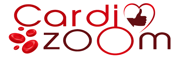 Cardi Zoom